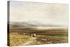 A Scotch Moor-Edmund Morison Wimperis-Stretched Canvas