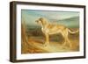 A Scottish Deerhound-Charles Hancock-Framed Giclee Print