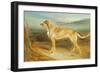 A Scottish Deerhound-Charles Hancock-Framed Giclee Print