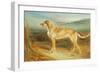 A Scottish Deerhound-Charles Hancock-Framed Giclee Print