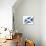 A Scottish Flag in the Wind with a Texture-TINTIN75-Art Print displayed on a wall