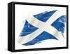A Scottish Flag in the Wind with a Texture-TINTIN75-Framed Stretched Canvas