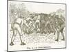 A Scrummage, Illustration for 'Cassell's Book of Sports and Pastimes', C.1890-null-Mounted Giclee Print