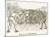 A Scrummage, Illustration for 'Cassell's Book of Sports and Pastimes', C.1890-null-Mounted Giclee Print
