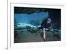 A Scuba Diver Explores the Blue Springs Cave in Marianna, Florida-null-Framed Premium Giclee Print