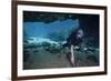 A Scuba Diver Explores the Blue Springs Cave in Marianna, Florida-null-Framed Premium Giclee Print