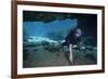 A Scuba Diver Explores the Blue Springs Cave in Marianna, Florida-null-Framed Premium Giclee Print