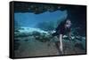 A Scuba Diver Explores the Blue Springs Cave in Marianna, Florida-null-Framed Stretched Canvas