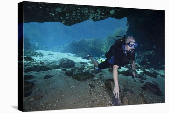 A Scuba Diver Explores the Blue Springs Cave in Marianna, Florida-null-Stretched Canvas