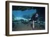 A Scuba Diver Explores the Blue Springs Cave in Marianna, Florida-null-Framed Art Print