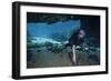 A Scuba Diver Explores the Blue Springs Cave in Marianna, Florida-null-Framed Art Print