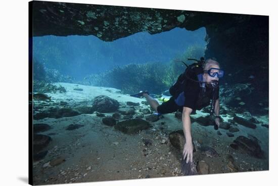 A Scuba Diver Explores the Blue Springs Cave in Marianna, Florida-null-Stretched Canvas