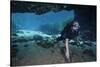 A Scuba Diver Explores the Blue Springs Cave in Marianna, Florida-null-Stretched Canvas