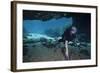 A Scuba Diver Explores the Blue Springs Cave in Marianna, Florida-null-Framed Art Print