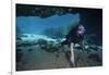 A Scuba Diver Explores the Blue Springs Cave in Marianna, Florida-null-Framed Art Print