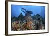 A Scuba Diver Swims Above a Colorful Coral Reef Near Sulawesi, Indonesia-Stocktrek Images-Framed Photographic Print