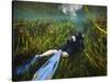 A Scuba Diver Swims Through an Underwater Field of Tape Grass-null-Stretched Canvas