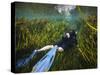 A Scuba Diver Swims Through an Underwater Field of Tape Grass-null-Stretched Canvas