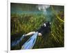 A Scuba Diver Swims Through an Underwater Field of Tape Grass-null-Framed Art Print