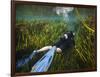 A Scuba Diver Swims Through an Underwater Field of Tape Grass-null-Framed Art Print