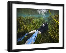 A Scuba Diver Swims Through an Underwater Field of Tape Grass-null-Framed Art Print