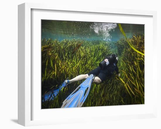 A Scuba Diver Swims Through an Underwater Field of Tape Grass-null-Framed Art Print