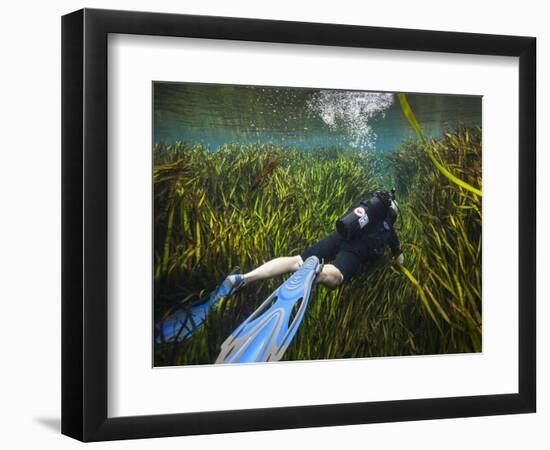 A Scuba Diver Swims Through an Underwater Field of Tape Grass-null-Framed Art Print