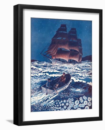 'A Sea Illuminated By Living Nightlights', 1935-Unknown-Framed Giclee Print