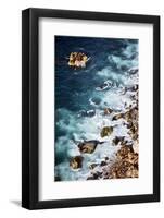 A Sea Lion Colony of the Coast of Big Sur, California-Bennett Barthelemy-Framed Photographic Print