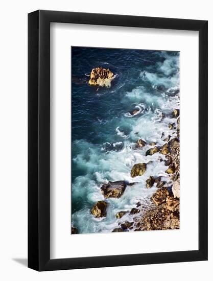 A Sea Lion Colony of the Coast of Big Sur, California-Bennett Barthelemy-Framed Photographic Print