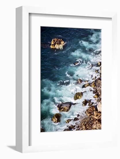 A Sea Lion Colony of the Coast of Big Sur, California-Bennett Barthelemy-Framed Photographic Print