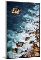 A Sea Lion Colony of the Coast of Big Sur, California-Bennett Barthelemy-Mounted Photographic Print