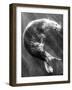 A Sea Lion Underwater with Sunlight Streaming Through-Don Mennig-Framed Premium Photographic Print