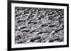 A sea of identical bike handles, China, Asia-Andreas Brandl-Framed Photographic Print