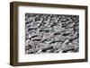 A sea of identical bike handles, China, Asia-Andreas Brandl-Framed Photographic Print