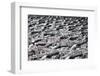 A sea of identical bike handles, China, Asia-Andreas Brandl-Framed Photographic Print