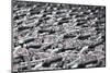 A sea of identical bike handles, China, Asia-Andreas Brandl-Mounted Photographic Print