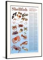 A Seafood Lover's Guide to Sustainable Shellfish Choices-Brenda Gillespie-Framed Art Print