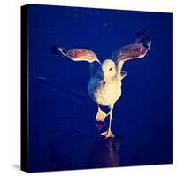 A Seagull on a Frozen Pond-graphicphoto-Stretched Canvas