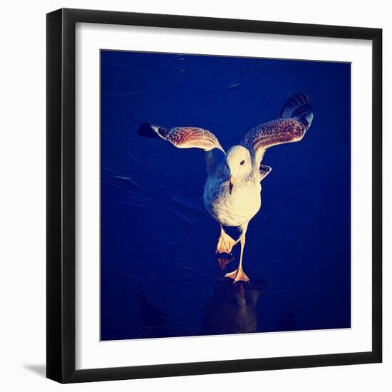 A Seagull on a Frozen Pond-graphicphoto-Framed Photographic Print