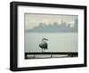 A Seagull Rests on a Rail in Sausalito, Calif.-null-Framed Photographic Print