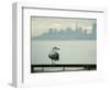 A Seagull Rests on a Rail in Sausalito, Calif.-null-Framed Photographic Print