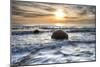 A seagull sat on a Moeraki Boulders at sunrise, Otago, South Island, New Zealand-Ed Rhodes-Mounted Photographic Print