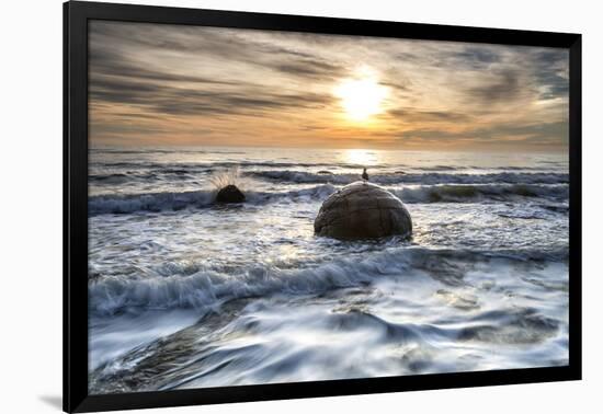 A seagull sat on a Moeraki Boulders at sunrise, Otago, South Island, New Zealand-Ed Rhodes-Framed Photographic Print