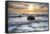 A seagull sat on a Moeraki Boulders at sunrise, Otago, South Island, New Zealand-Ed Rhodes-Framed Stretched Canvas