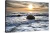 A seagull sat on a Moeraki Boulders at sunrise, Otago, South Island, New Zealand-Ed Rhodes-Stretched Canvas