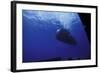 A Seal Delivery Vehicle Drives by the Dry Deck Shelter Outer Hangar Door-Stocktrek Images-Framed Photographic Print