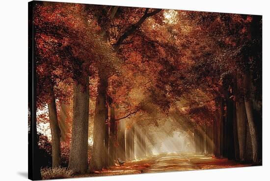 A Seat Not Taken III-Lars Van de Goor-Stretched Canvas