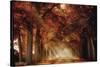 A Seat Not Taken III-Lars Van de Goor-Stretched Canvas