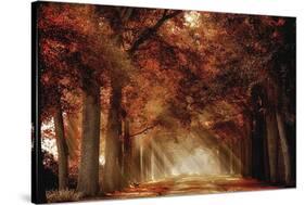 A Seat Not Taken III-Lars Van de Goor-Stretched Canvas